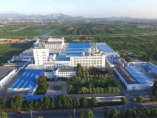Design of the detergent powder production line with an annual output of 150,000 tons begins